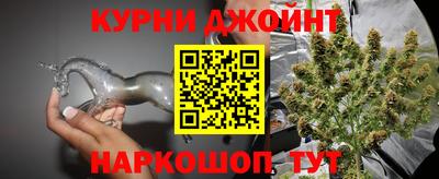 гидра Донской