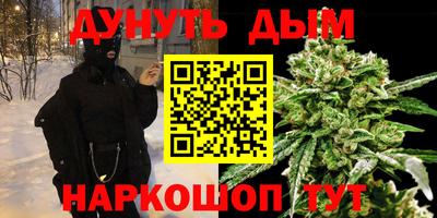 Альфа ПВП Дубна