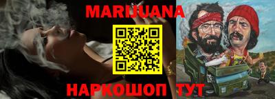 Альфа ПВП Дубна