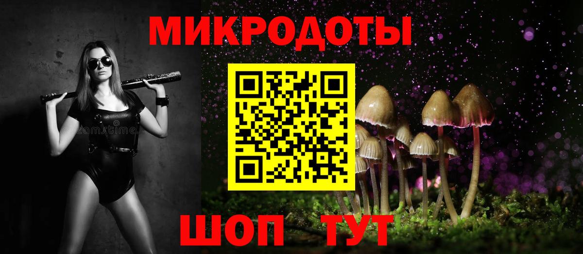 Псилоцибиновые грибы Psilocybe  Вход с VPN  Видное 