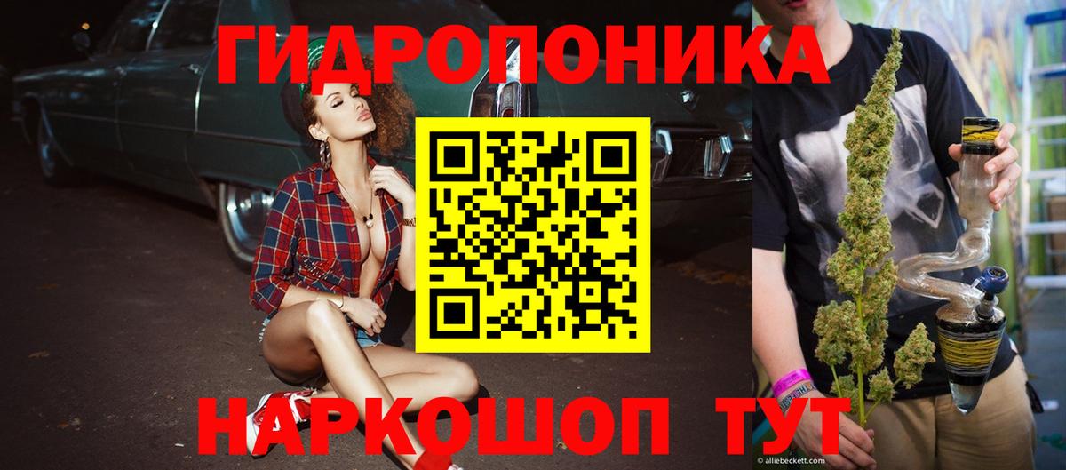 Видное  Марихуана конопля  Вход с VPN  Бошки Шишки планчик  Каннабис Bruce Banner  Марихуана планчик 